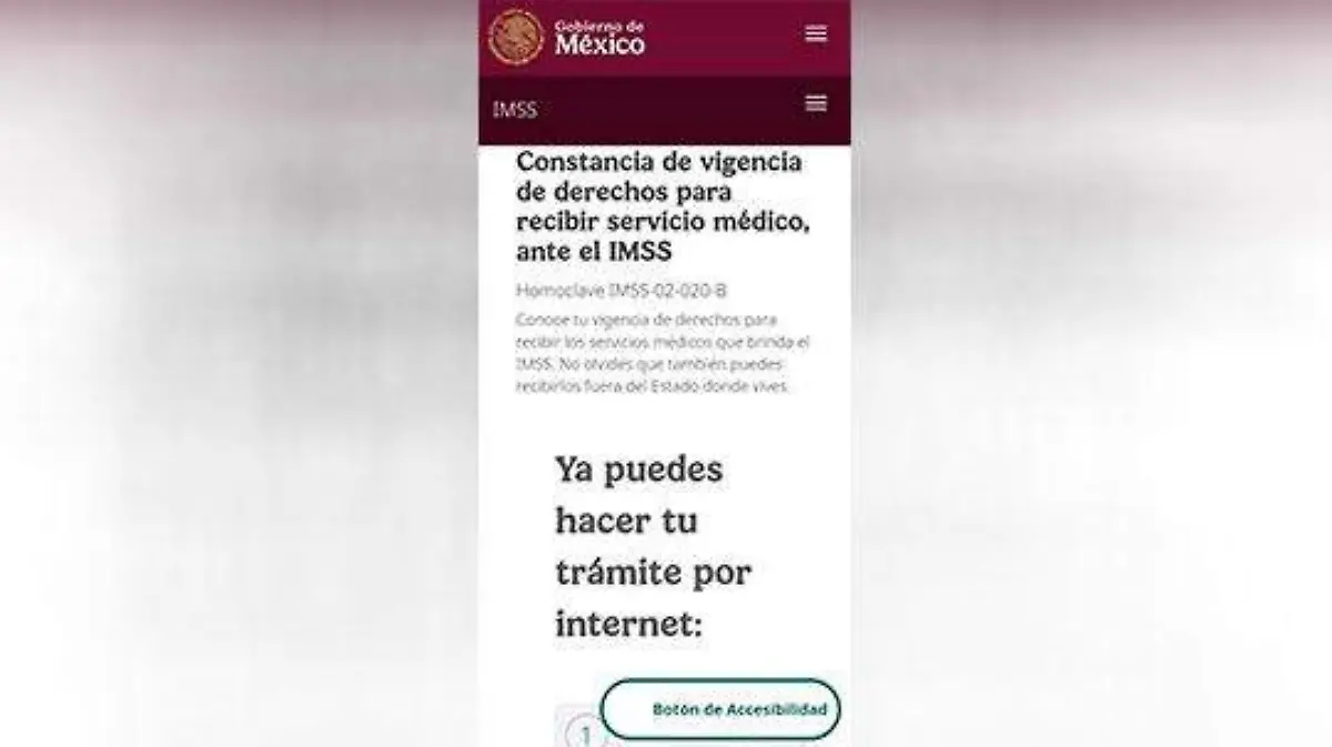 Constancia-de-Vigencia-de-Derechos-del-IMSS-(2)