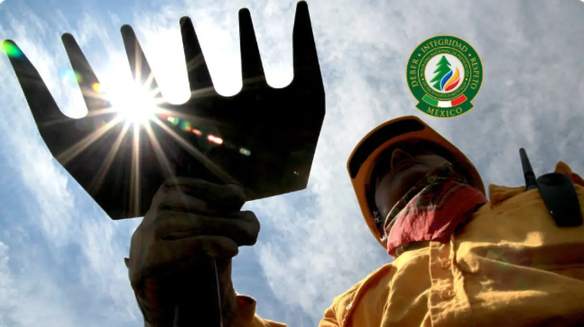 COMIENZAS LOS INCENDIOS FORESTALES