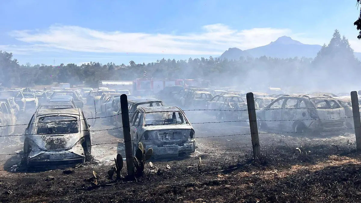 WhatsApp Image 2026-02-07 at 12.39.14 PM