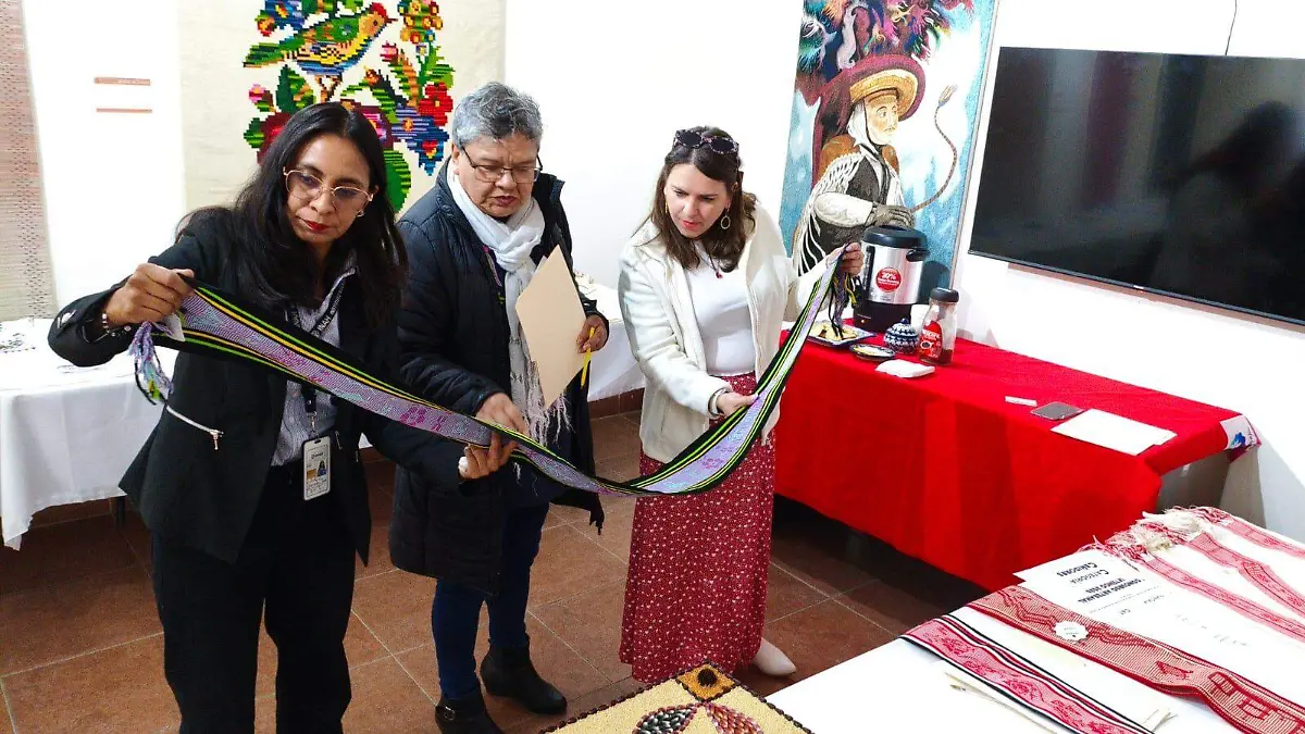 reconocimiento de la cultura dde Ixtenco Artesanías (4)