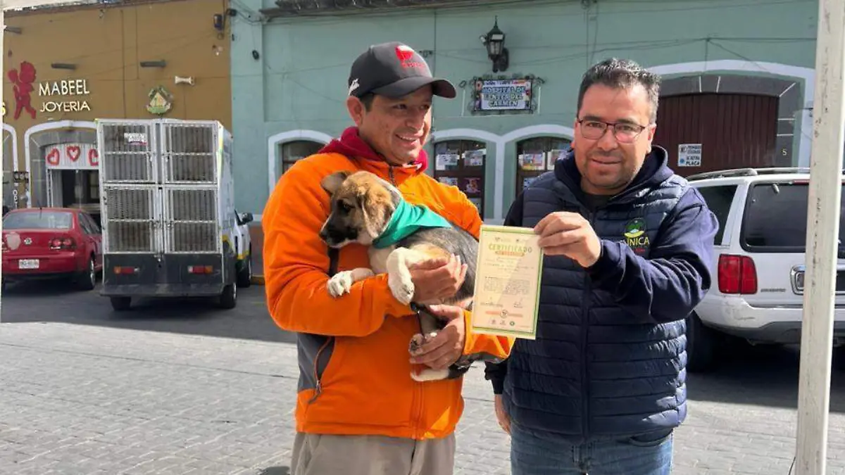 Huamantla el bienestar animal  (2)