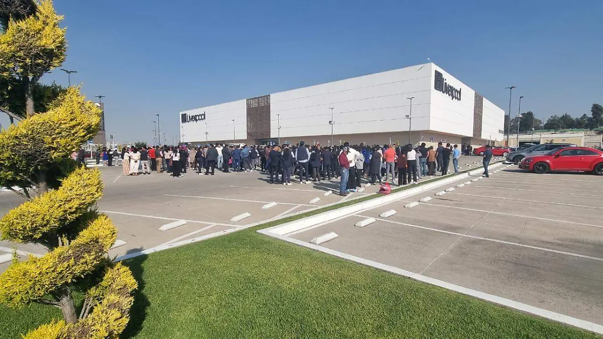 WhatsApp Image 2026-02-08 at 15.56.18