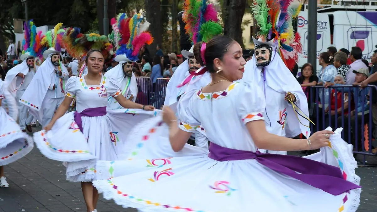 Desfile de Carnaval 6