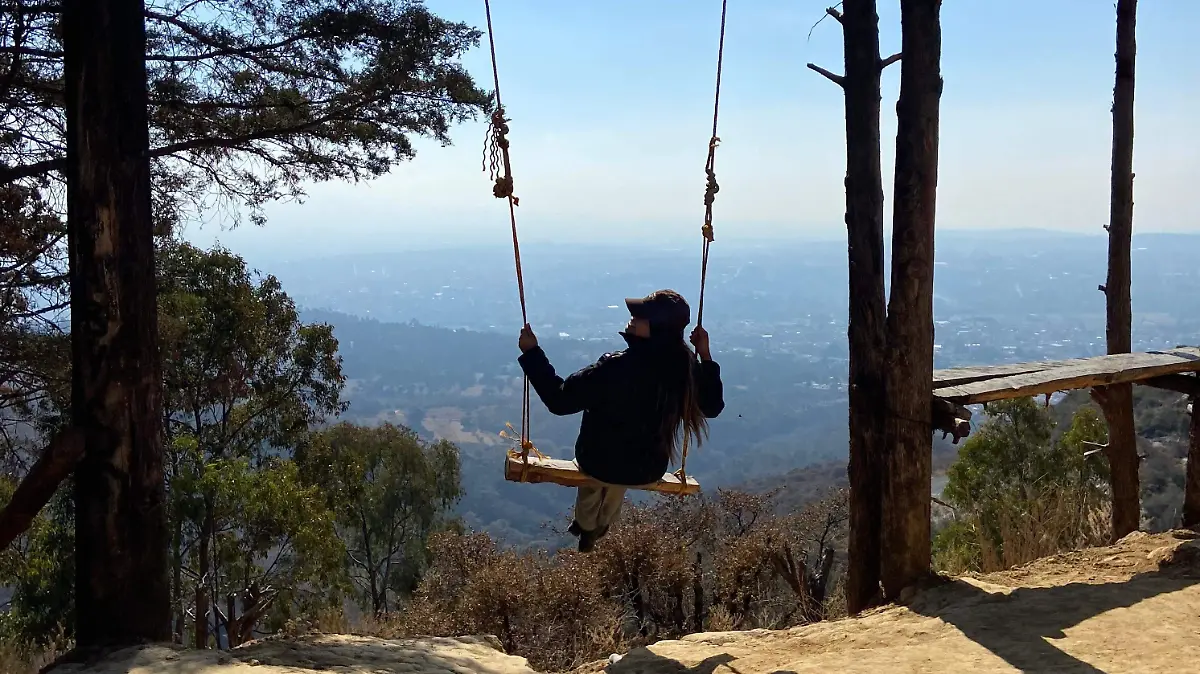 WhatsApp Image 2026-02-13 at 12.12.28 PM