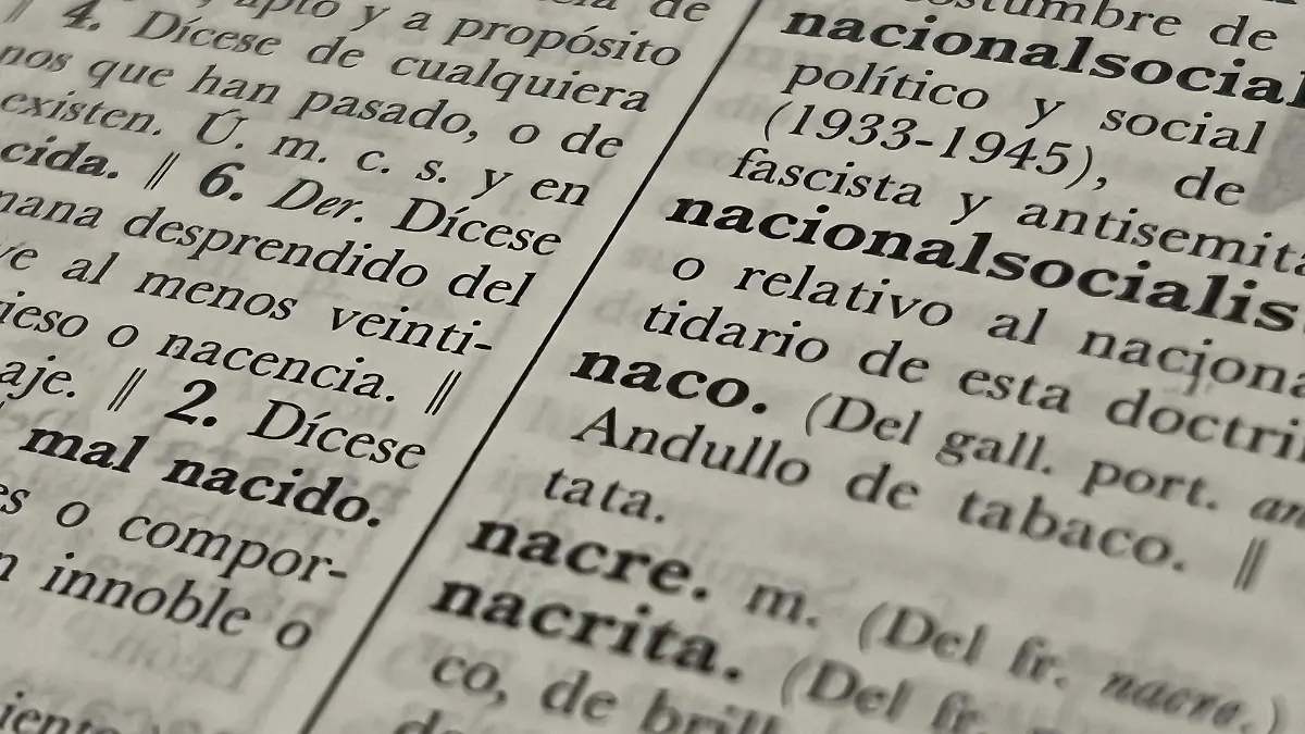 WhatsApp Image 2026-02-13 at 12.56.30 PM