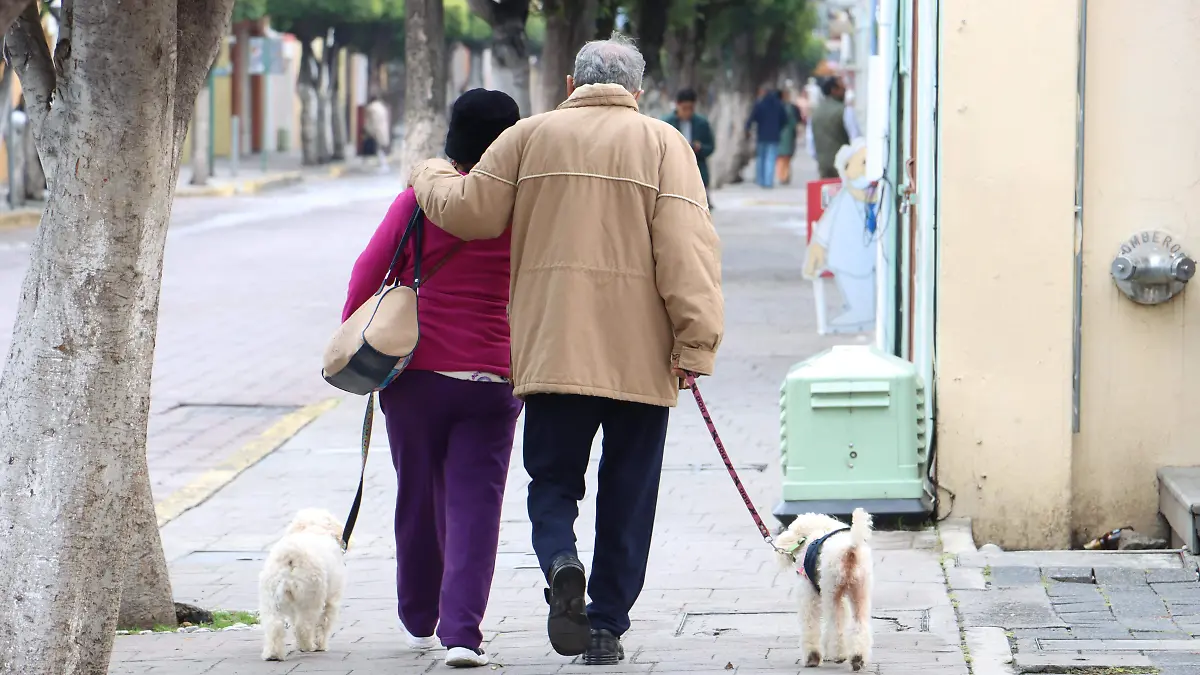 PENSIÓN DE ADULTOS (1)