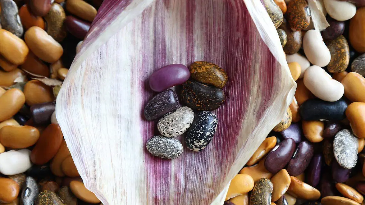 WhatsApp Image 2026-02-16 at 3.05.05 PM