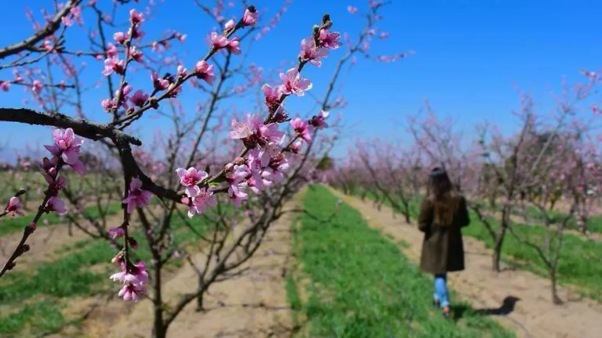 WhatsApp Image 2026-02-19 at 12.12.50 PM