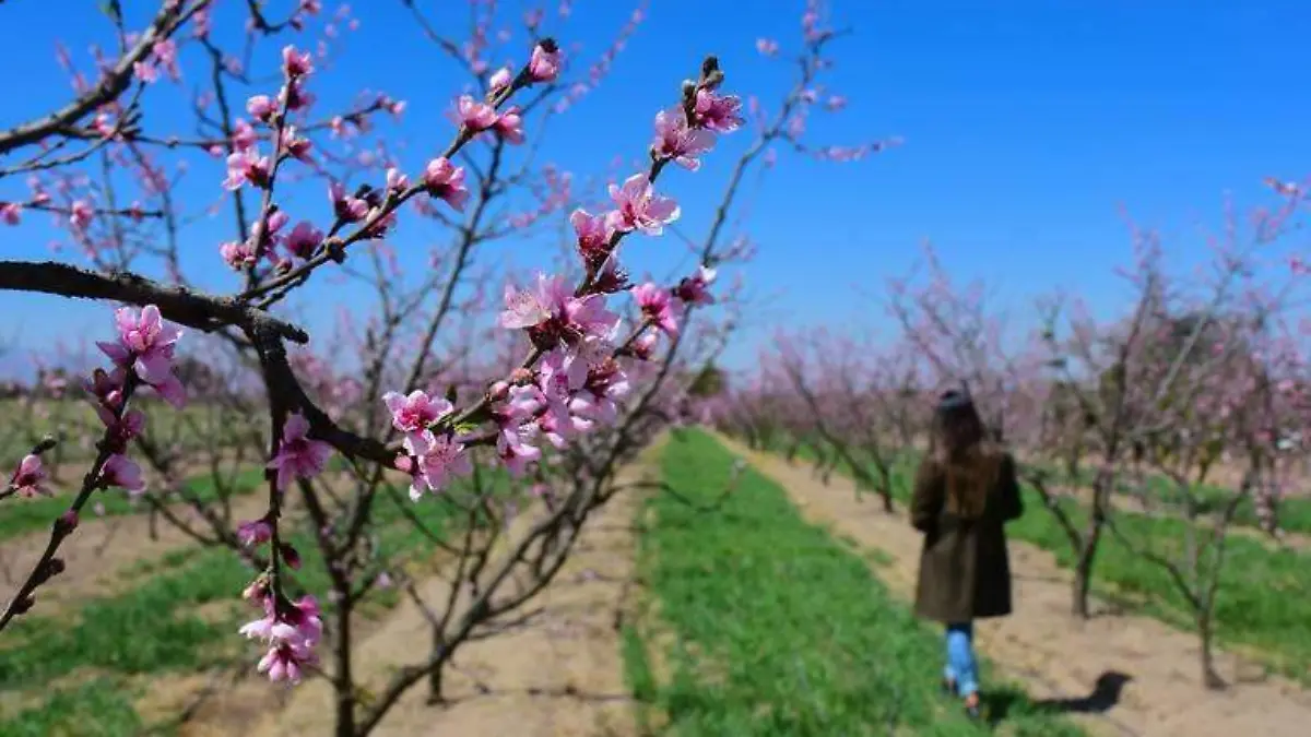 WhatsApp Image 2026-02-19 at 12.12.50 PM