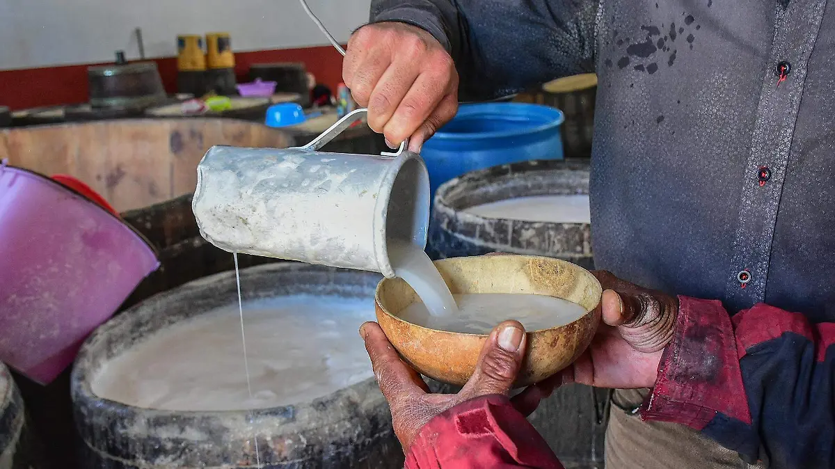 Pulque de Tlaxcala 2