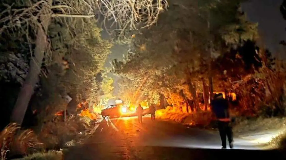 WhatsApp Image 2026-02-22 at 1.58.43 PM