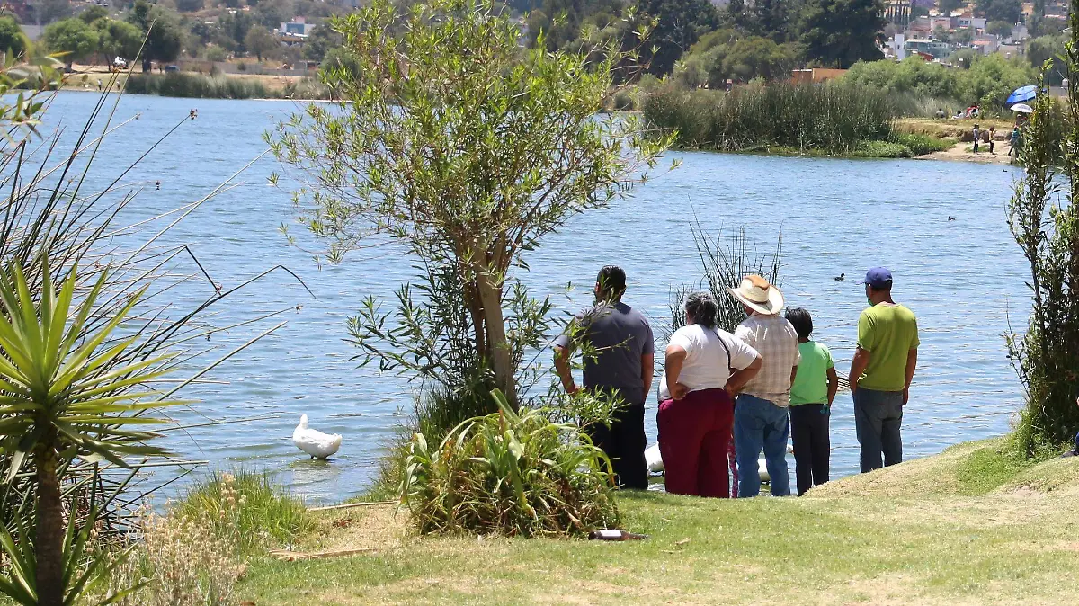 EDUCACIÓN AMBIENTAL (1)