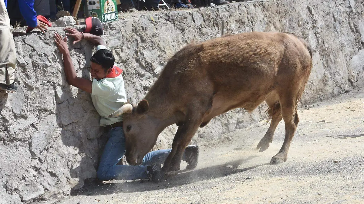 Vaquillas ponen a correr a jóvenes en capea callejera de Chalma 4