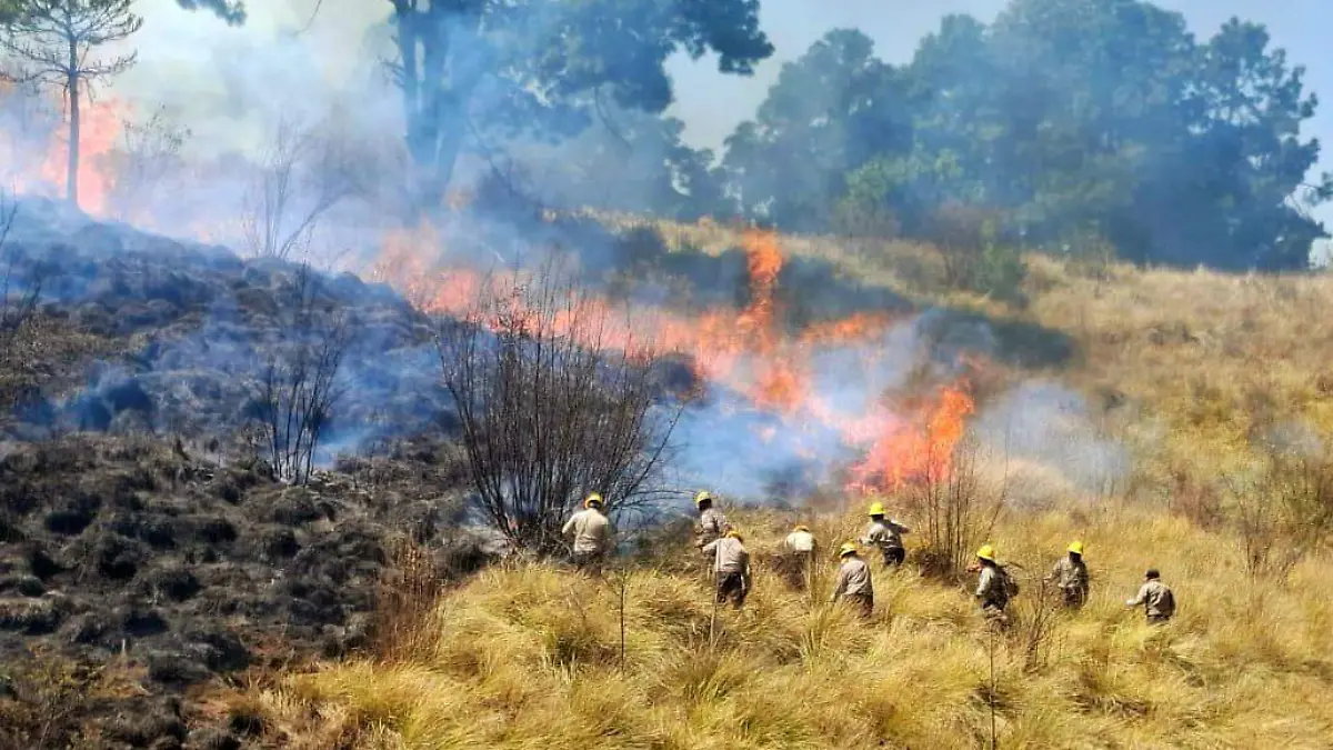 Advierte alcaldesa de Chiautempan 2