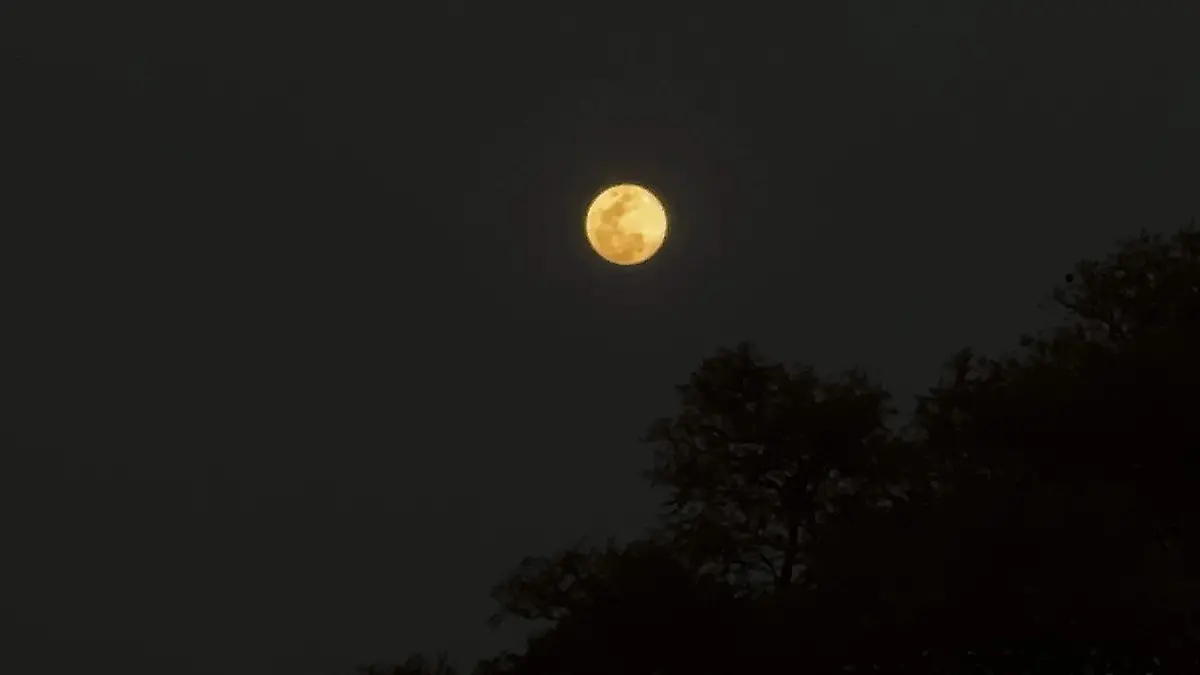 WhatsApp Image 2026-03-02 at 14.06.19