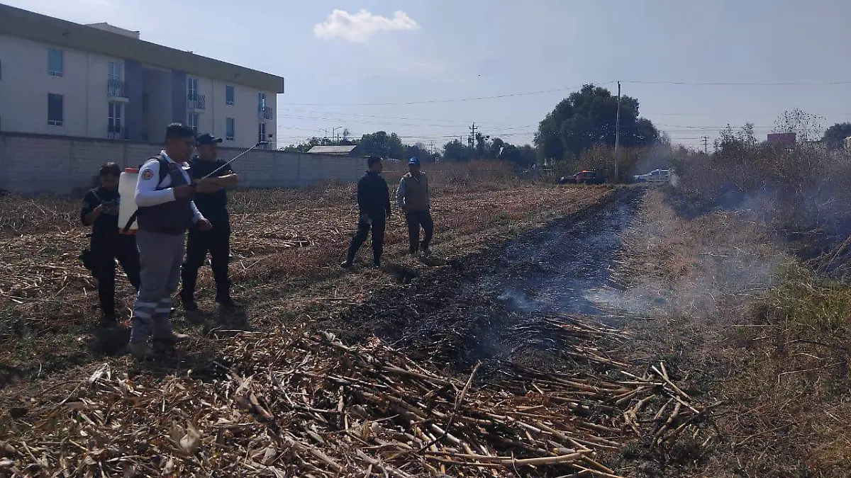 WhatsApp Image 2026-03-02 at 6.11.09 PM (2)