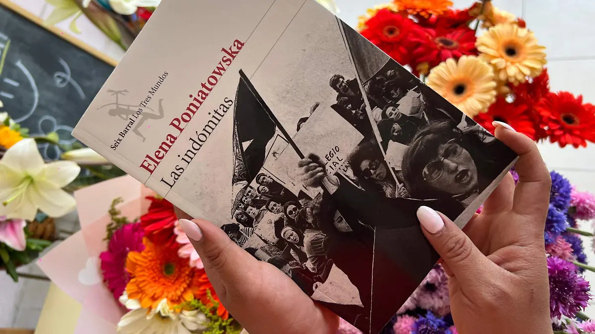 WhatsApp Image 2026-03-03 at 15.37.45