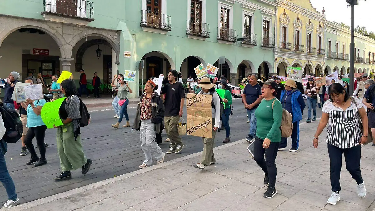 Continúan colectivas y padres de familia en resistencia (2)
