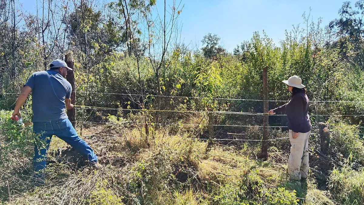 648645700_1250886347233797_3921495547301294260_n