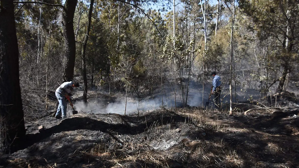 PREVENCIÓN INCENDIOS (2)
