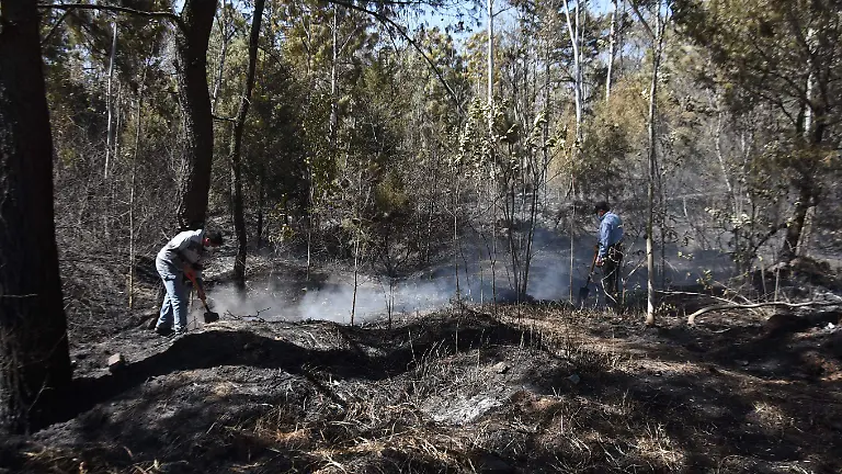 PREVENCIÓN INCENDIOS (2)