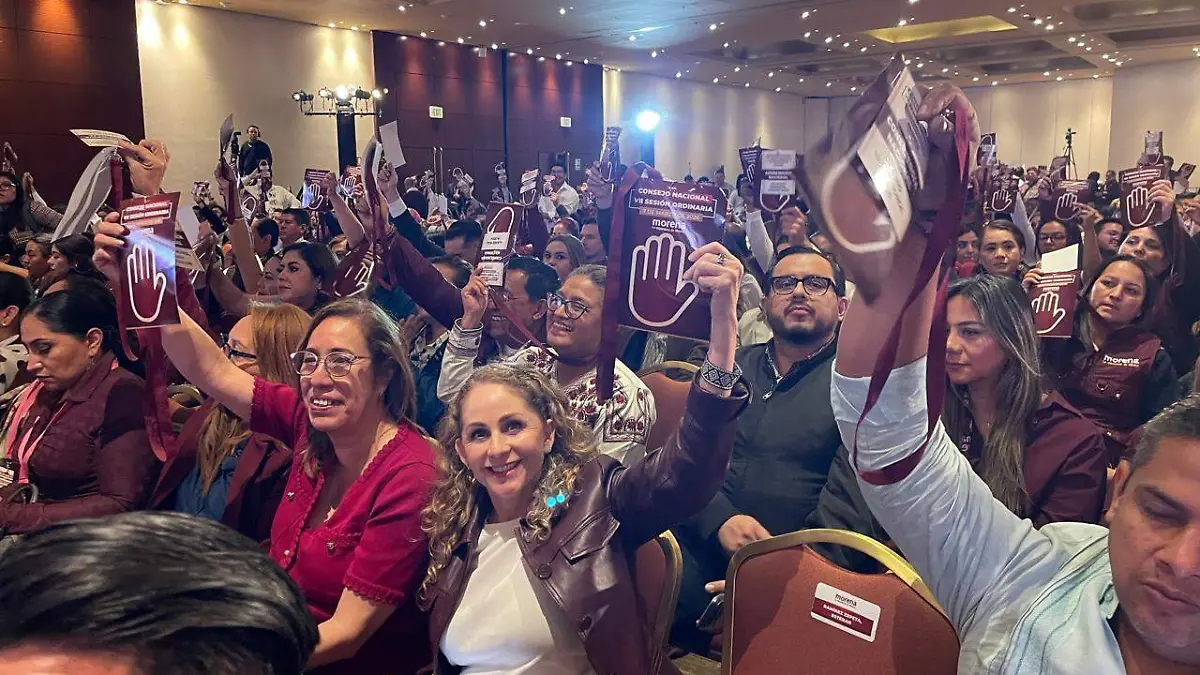 Marcela González participa en la VII Sesión Ordinaria del Consejo Nacional de Morena (2)