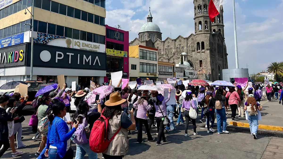 WhatsApp Image 2026-03-08 at 16.19.25 (3)