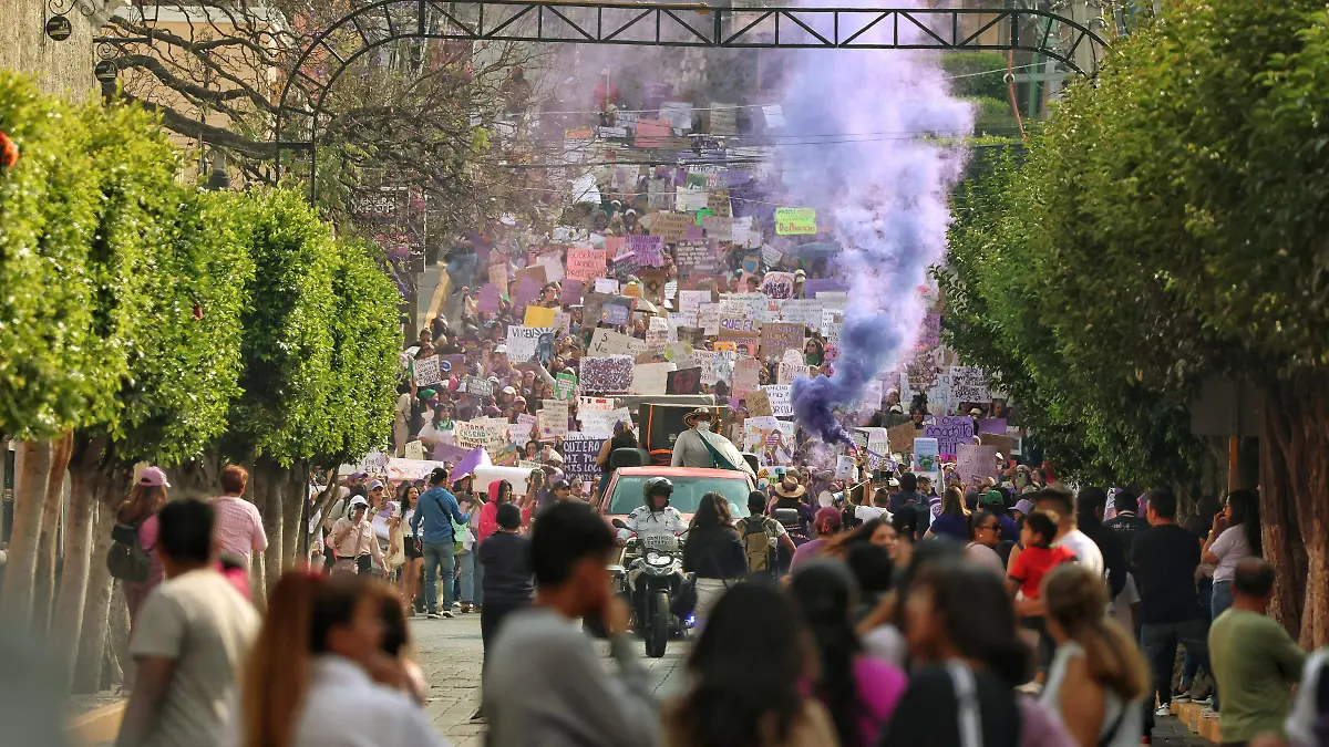 Marcha 8M 20
