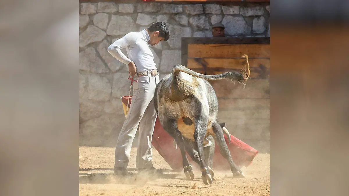 Toros-(1)