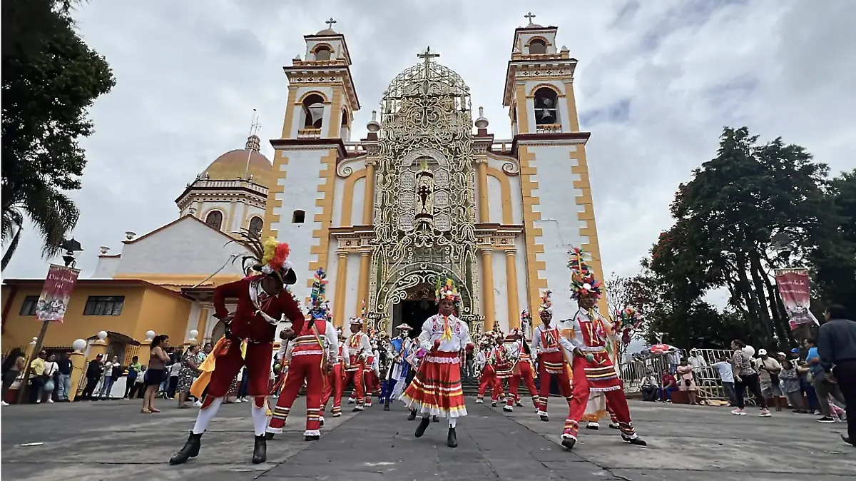 danza de los tocotines