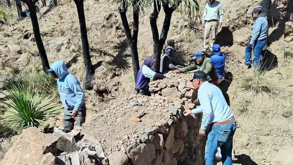 WhatsApp Image 2026-03-13 at 11.45.13 AM (1)