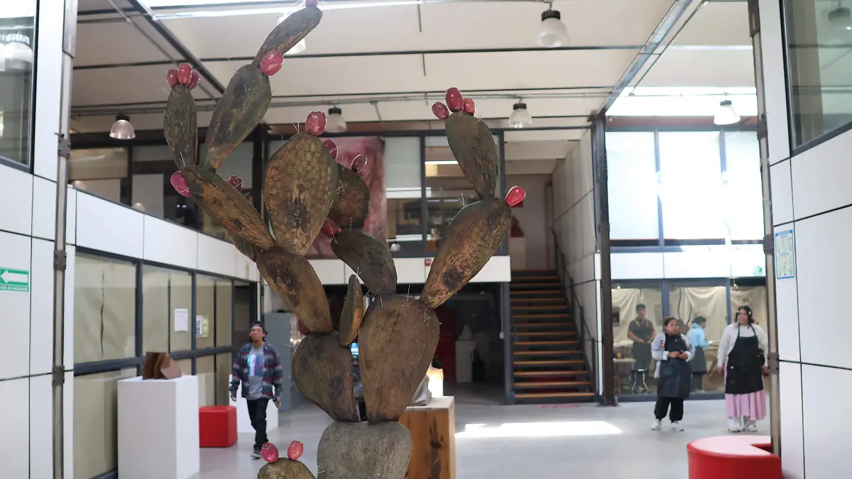 ESCUELA DE ARTES APIZAQUITO (19)