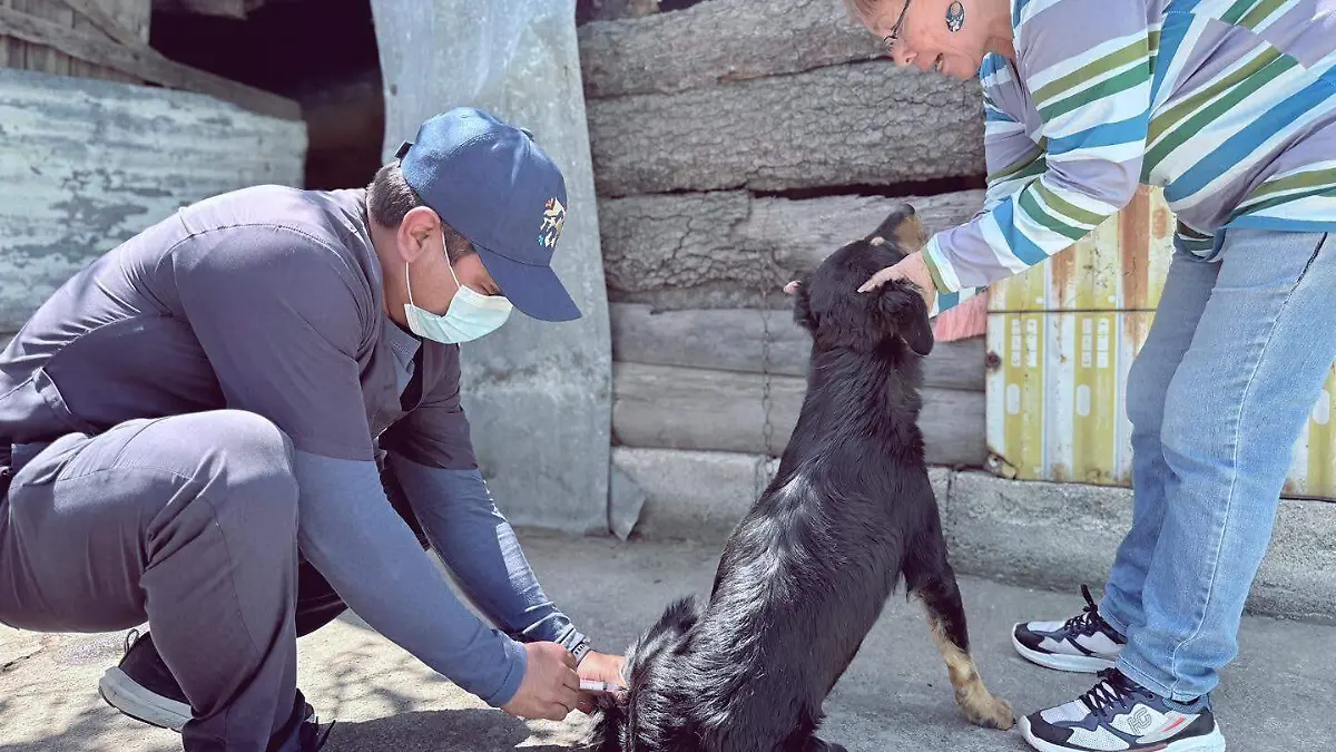 Coordinación de Bienestar Animal 2