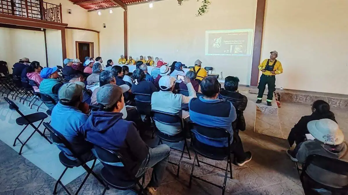 WhatsApp Image 2026-03-18 at 12.51.18 PM