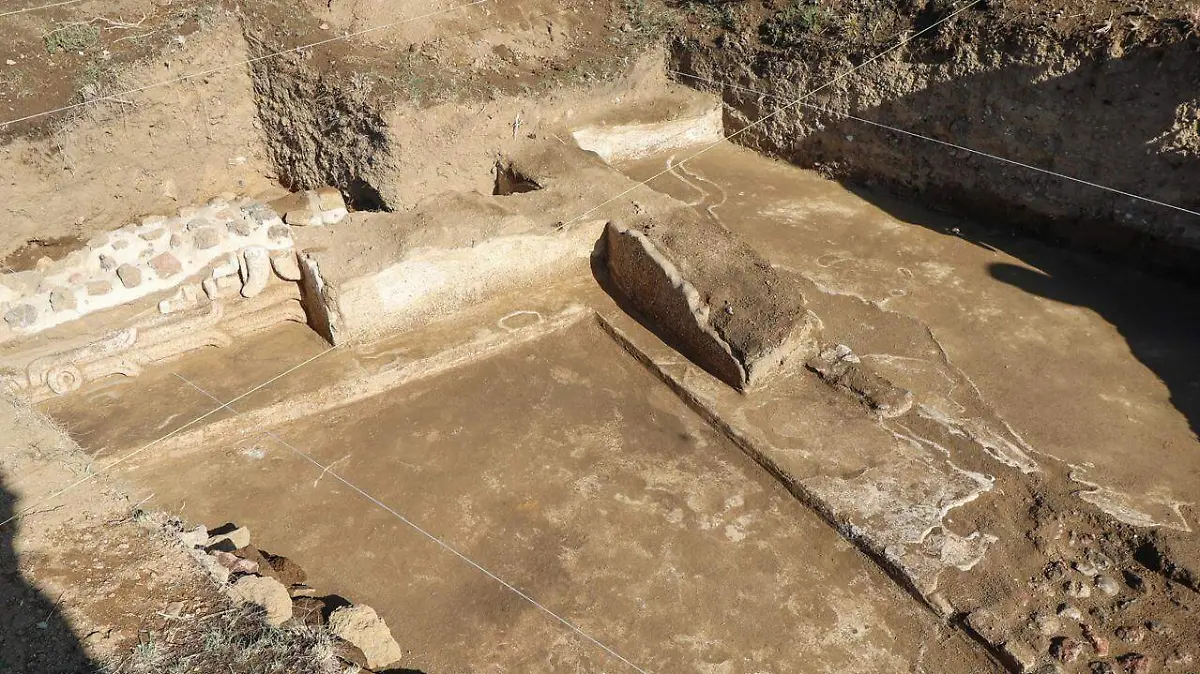 WhatsApp Image 2026-03-18 at 3.50.41 PM (1)