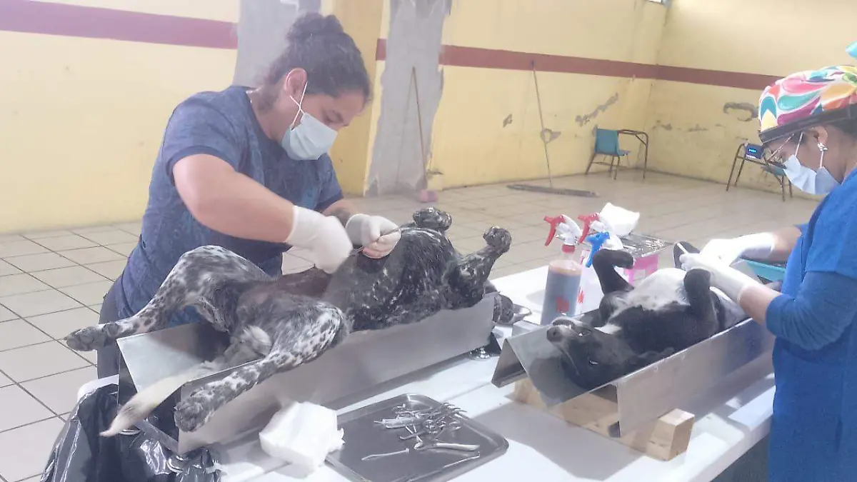 WhatsApp Image 2026-03-19 at 12.35.10 PM (1)