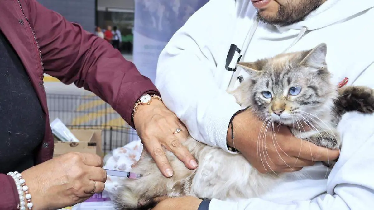 651154414_944783661632834_5995149707719740937_n