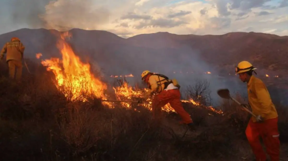 SEGUIMIENTO INCENDIOS