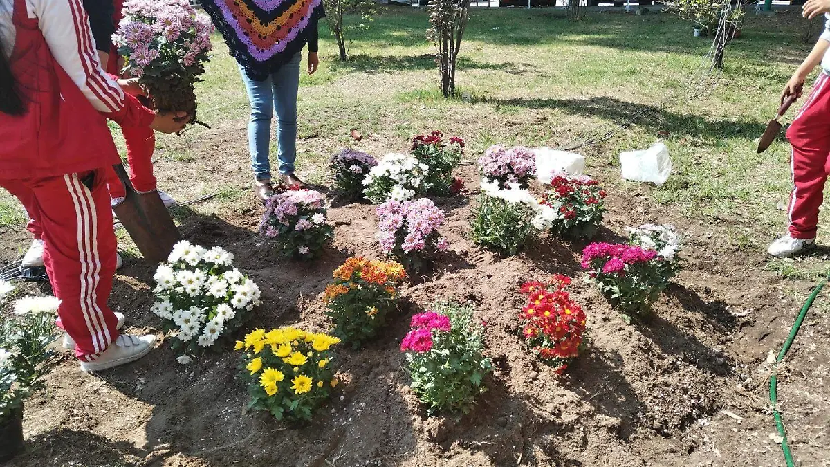 programa medio ambiente (2)