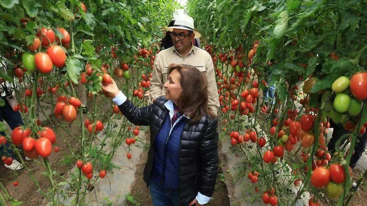 Tlaxcala instalará primera mesa de seguridad (6)
