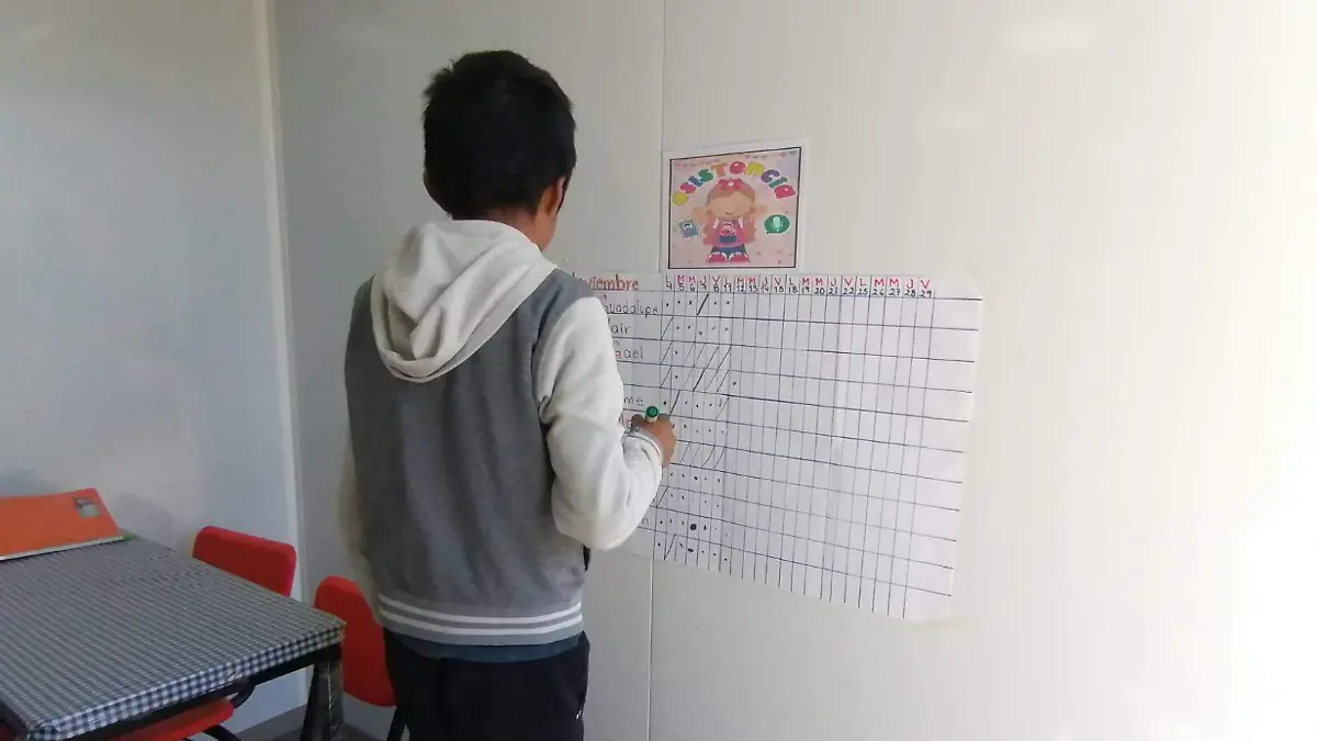 WhatsApp Image 2026-03-23 at 1.01.24 PM