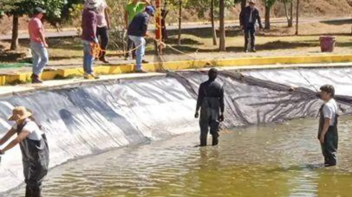 Universidad politécnica fortalece innovación acuícola  2