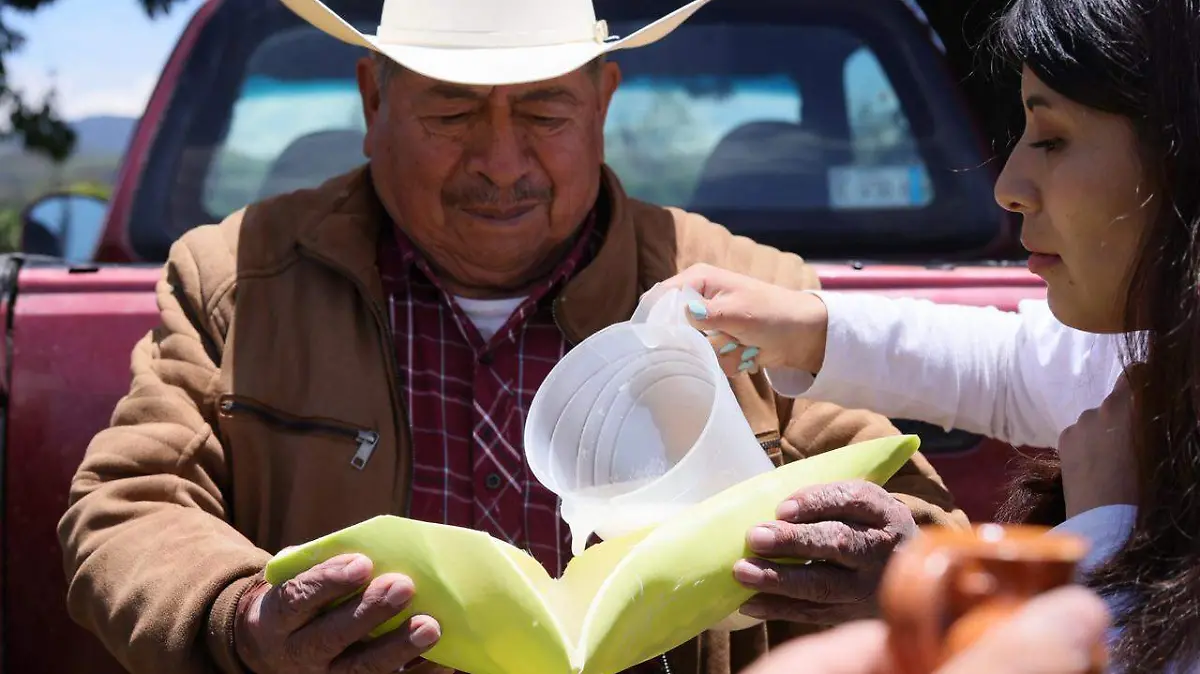 Tlaxcala compite en “Lo Mejor de México 2026”,  3