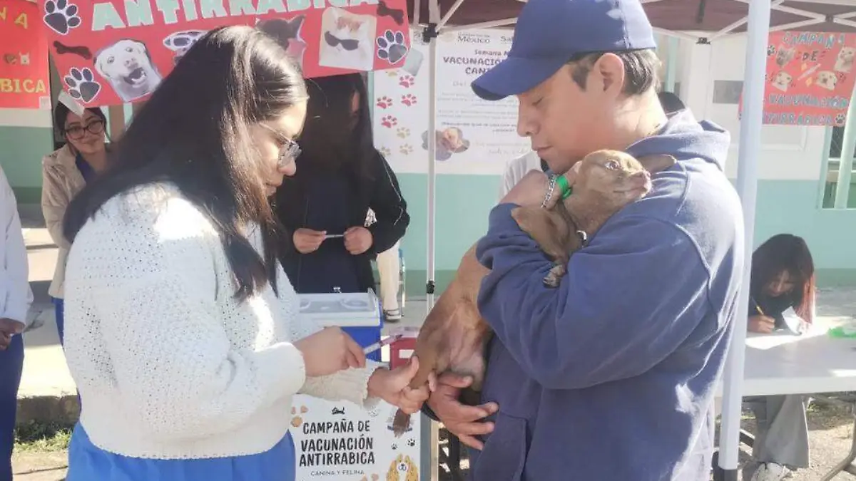 vacunas antirrábicas a perros y gatos (1)