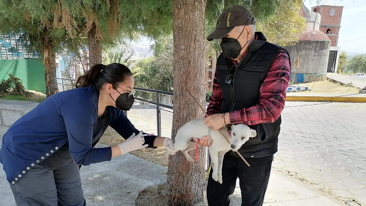 VACUNA ANTIRRÁBICA 2