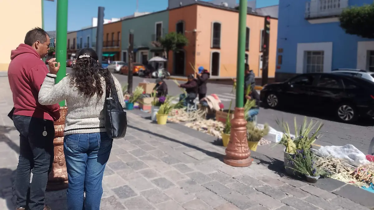 COMPRADORES DE PALMAS