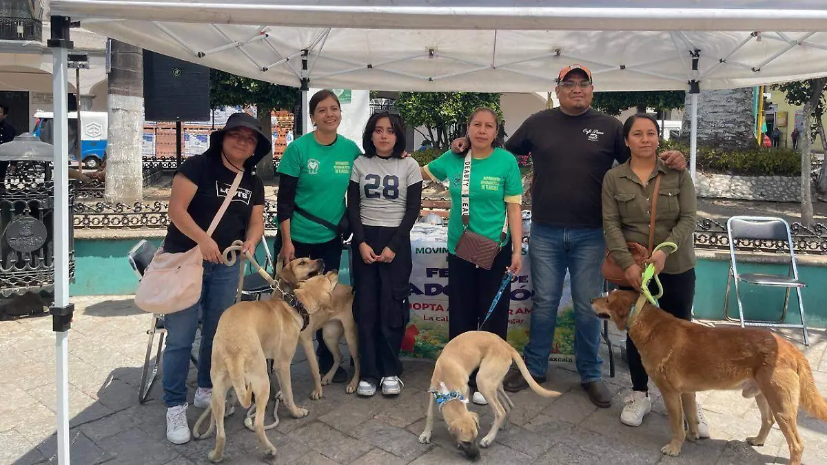 655019368_122168481092832217_5403332659455407460_n