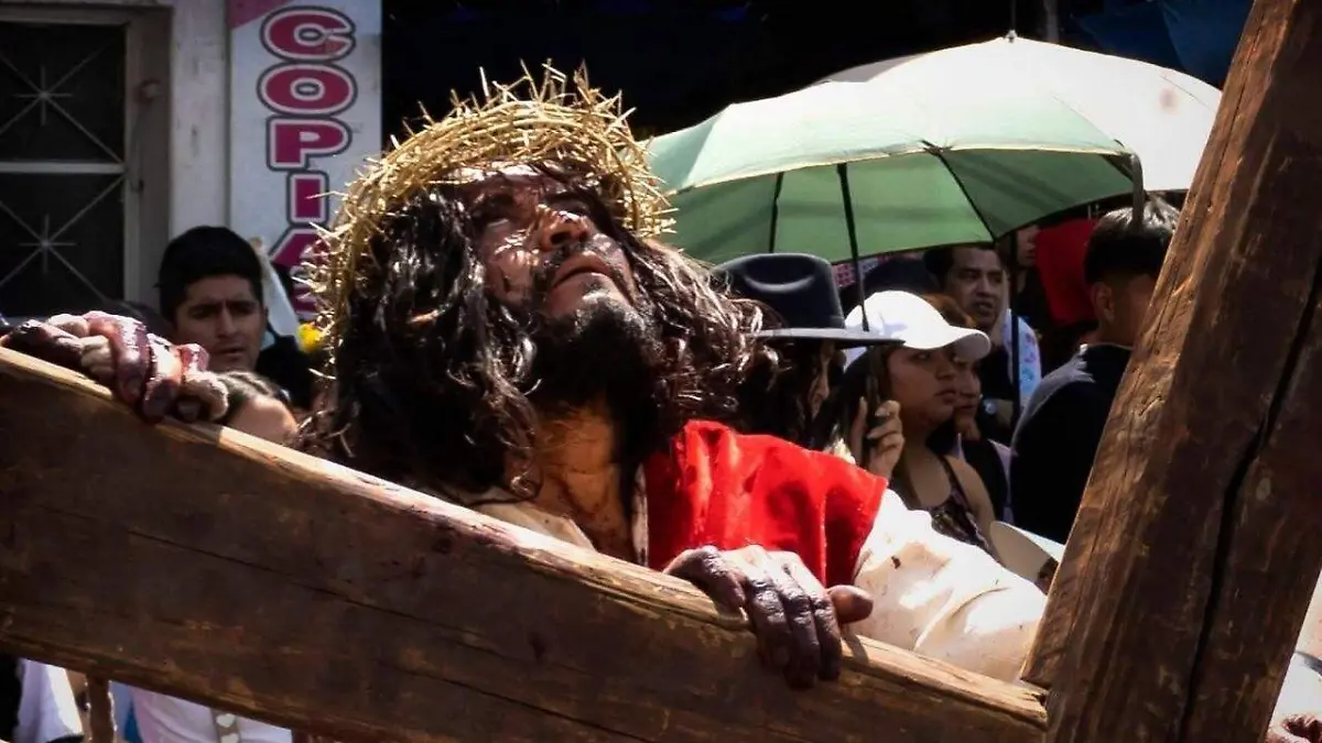 photo_5071468667425459256_y