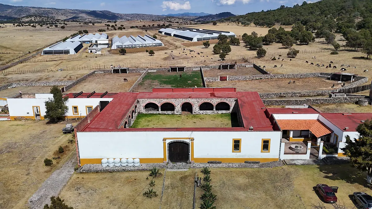 de haro 
