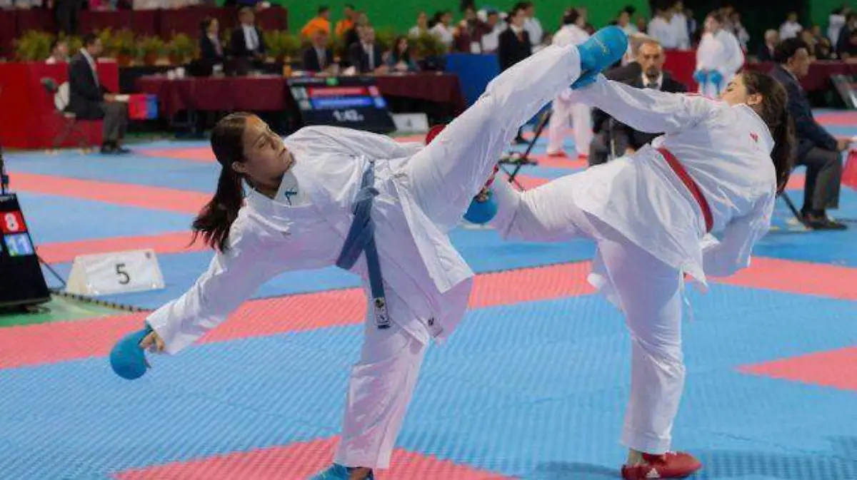 karate regional
